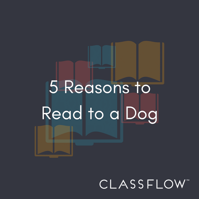 Learn about how dogs (and other pets) are great summer reading motivators for children.